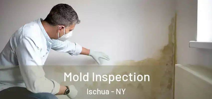 Mold Inspection Ischua - NY