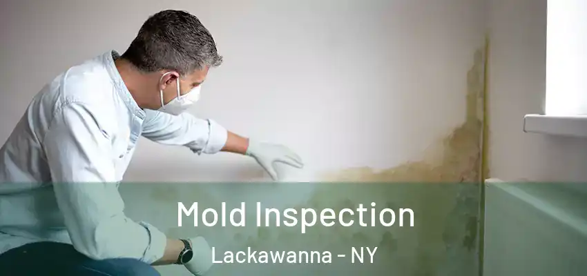  Mold Inspection Lackawanna - NY