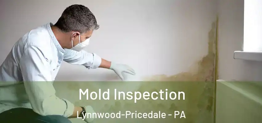 Mold Inspection Lynnwood-Pricedale - PA