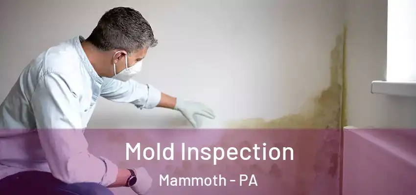  Mold Inspection Mammoth - PA