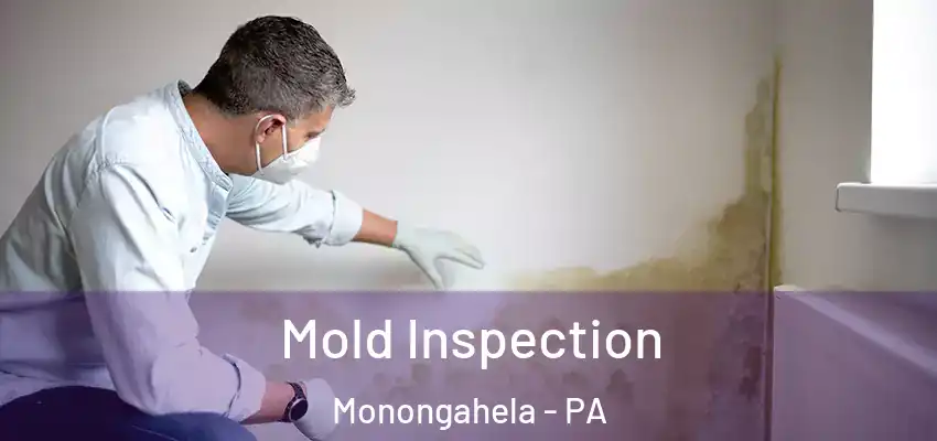  Mold Inspection Monongahela - PA