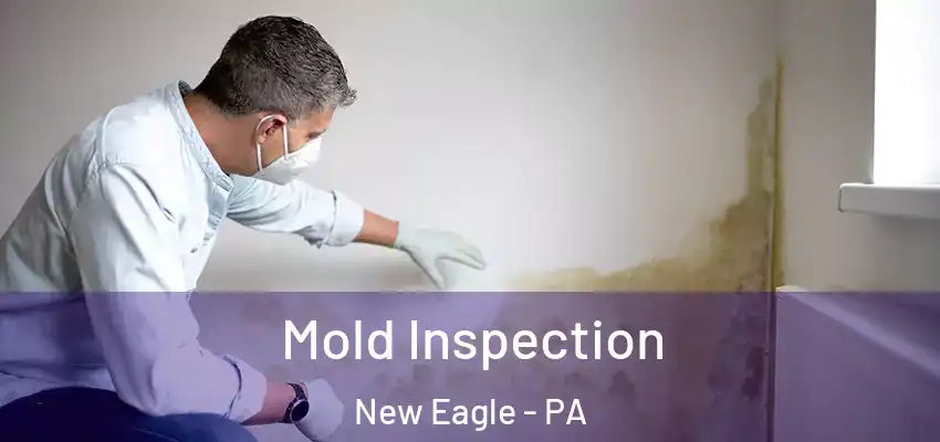  Mold Inspection New Eagle - PA