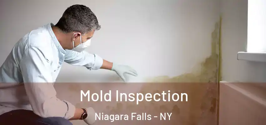  Mold Inspection Niagara Falls - NY