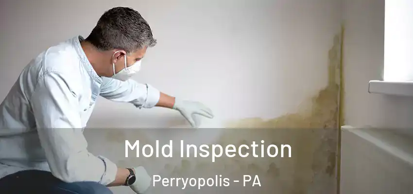  Mold Inspection Perryopolis - PA