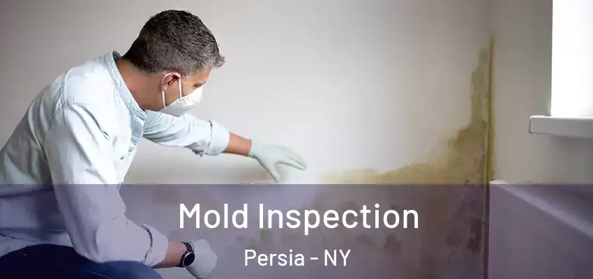  Mold Inspection Persia - NY