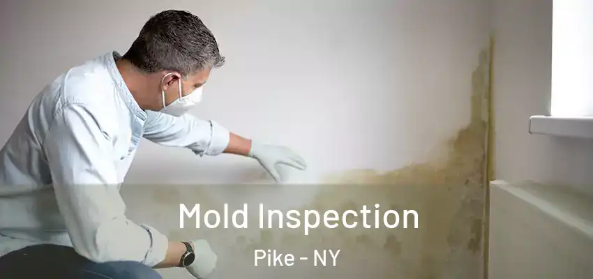  Mold Inspection Pike - NY