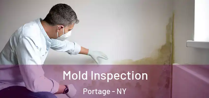  Mold Inspection Portage - NY