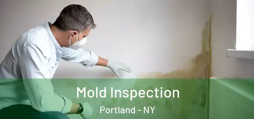  Mold Inspection Portland - NY