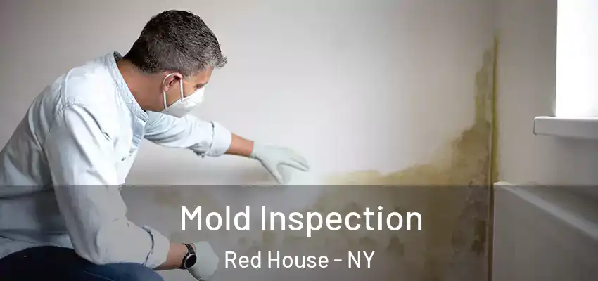  Mold Inspection Red House - NY