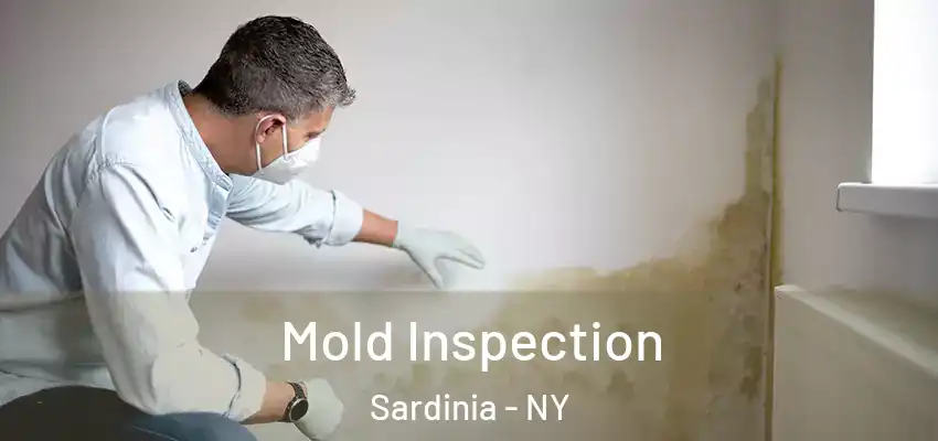  Mold Inspection Sardinia - NY