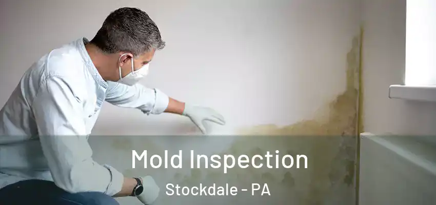 Mold Inspection Stockdale - PA