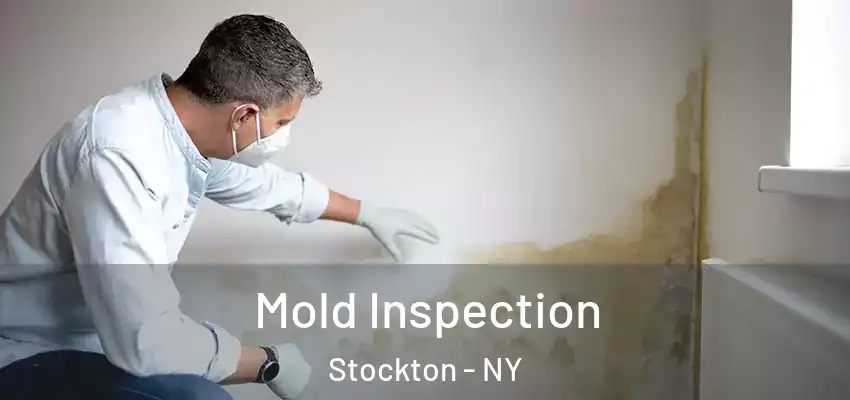  Mold Inspection Stockton - NY