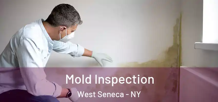  Mold Inspection West Seneca - NY