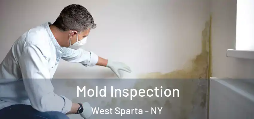  Mold Inspection West Sparta - NY