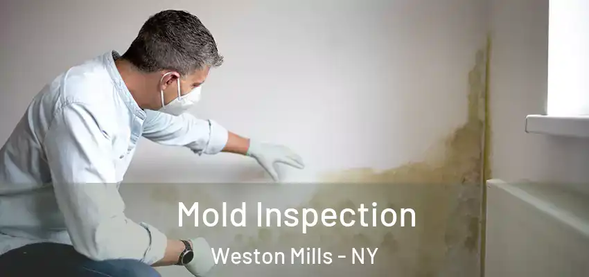  Mold Inspection Weston Mills - NY