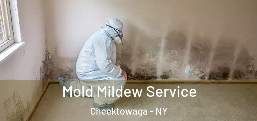  Mold Mildew Service Cheektowaga - NY
