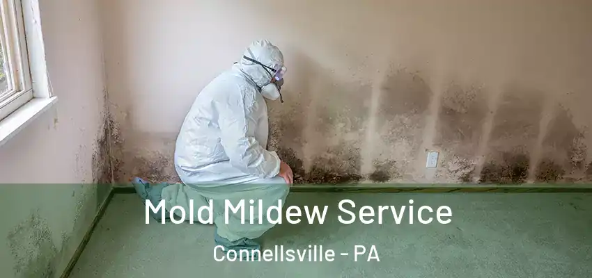  Mold Mildew Service Connellsville - PA