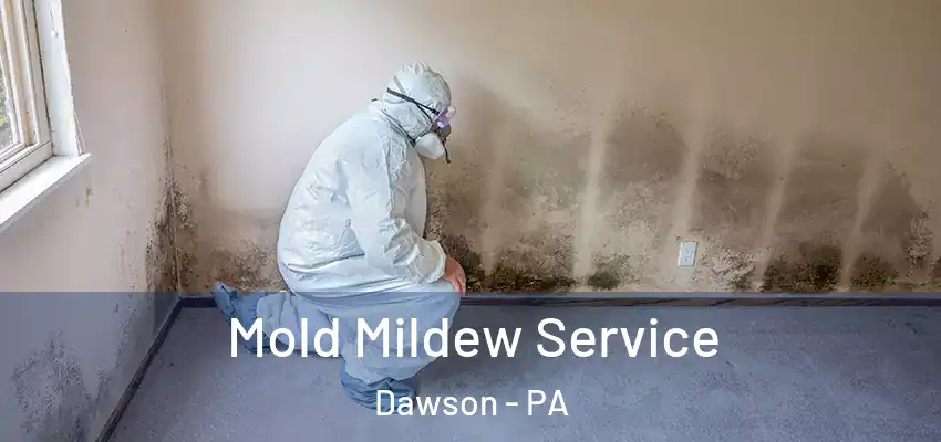  Mold Mildew Service Dawson - PA