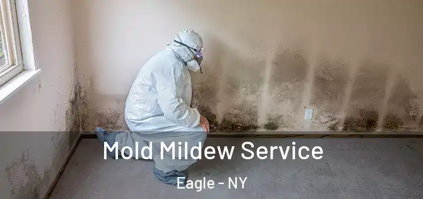  Mold Mildew Service Eagle - NY