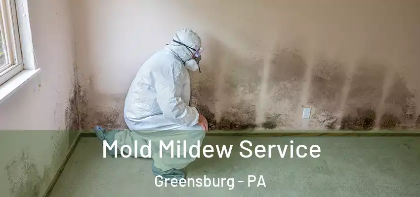  Mold Mildew Service Greensburg - PA