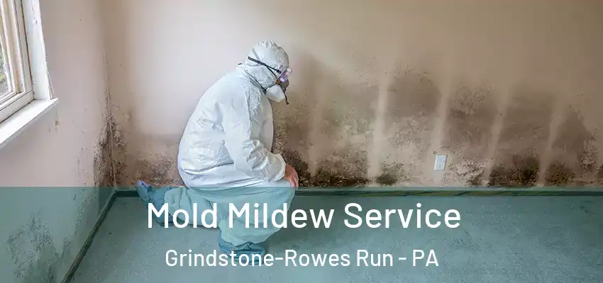  Mold Mildew Service Grindstone-Rowes Run - PA