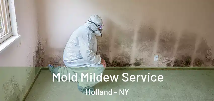  Mold Mildew Service Holland - NY
