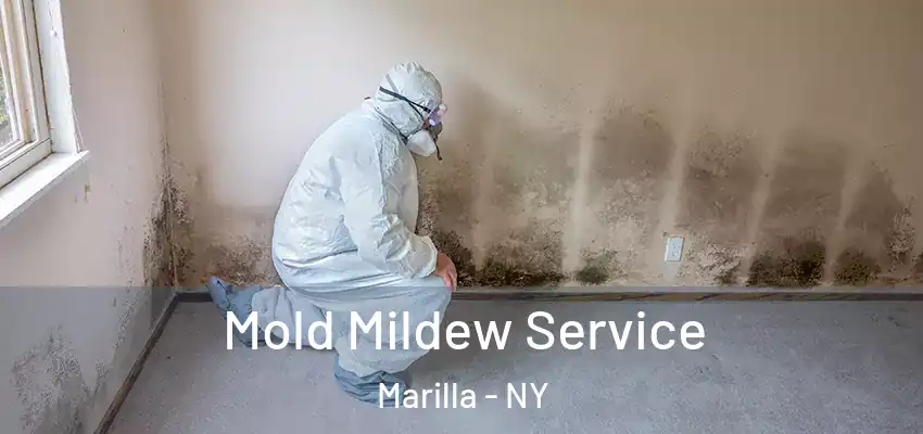  Mold Mildew Service Marilla - NY