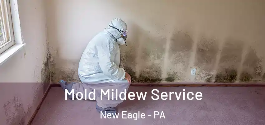  Mold Mildew Service New Eagle - PA