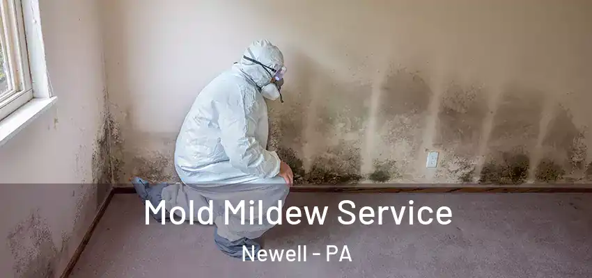  Mold Mildew Service Newell - PA