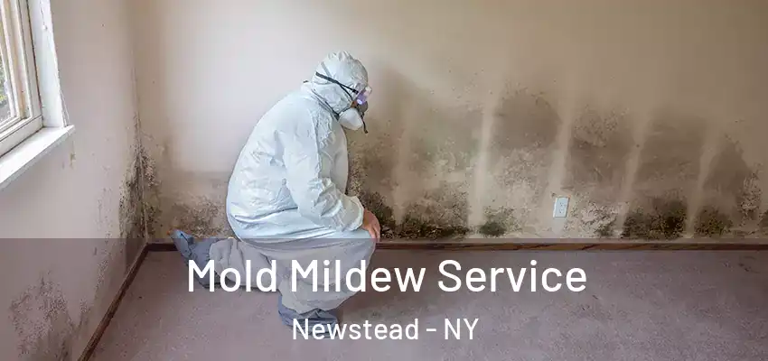  Mold Mildew Service Newstead - NY