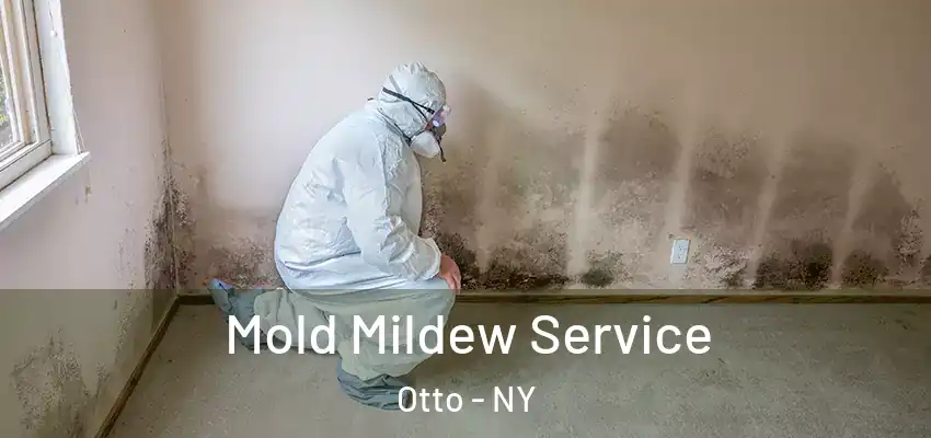  Mold Mildew Service Otto - NY