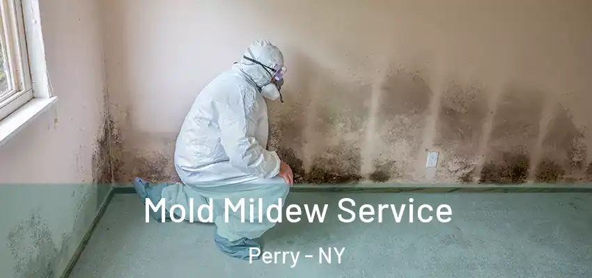  Mold Mildew Service Perry - NY