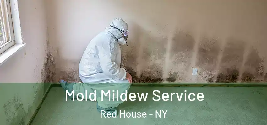  Mold Mildew Service Red House - NY