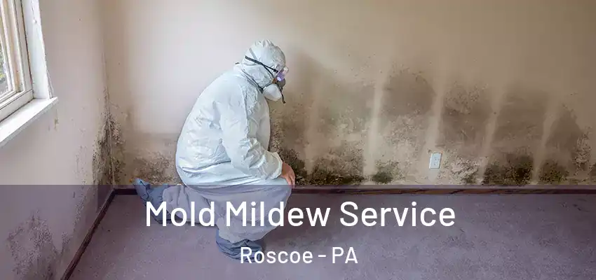  Mold Mildew Service Roscoe - PA