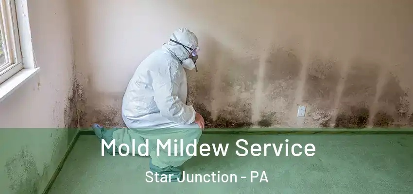  Mold Mildew Service Star Junction - PA