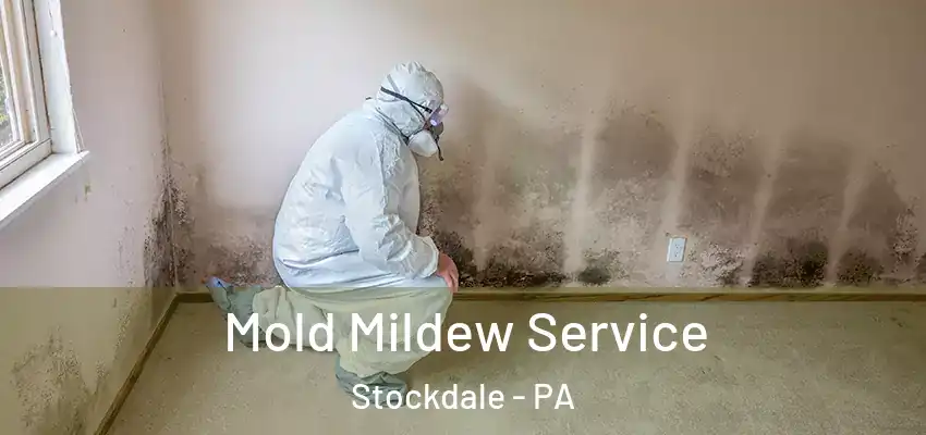  Mold Mildew Service Stockdale - PA