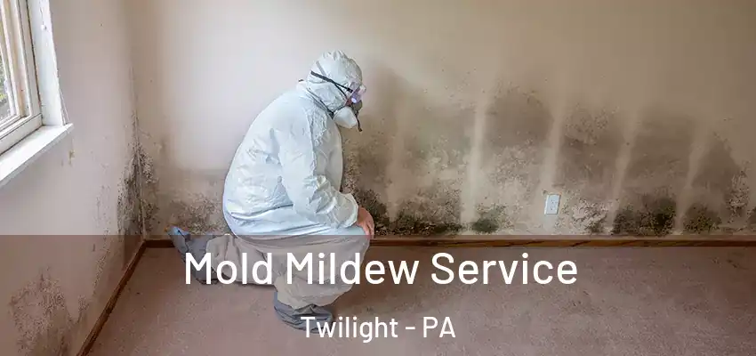  Mold Mildew Service Twilight - PA