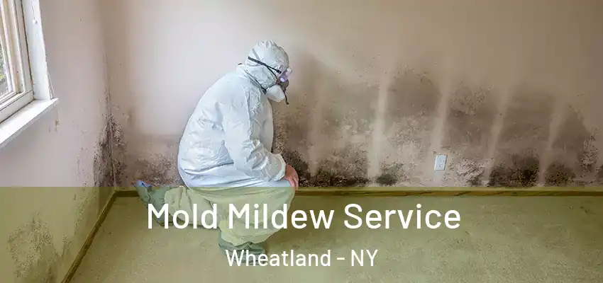  Mold Mildew Service Wheatland - NY