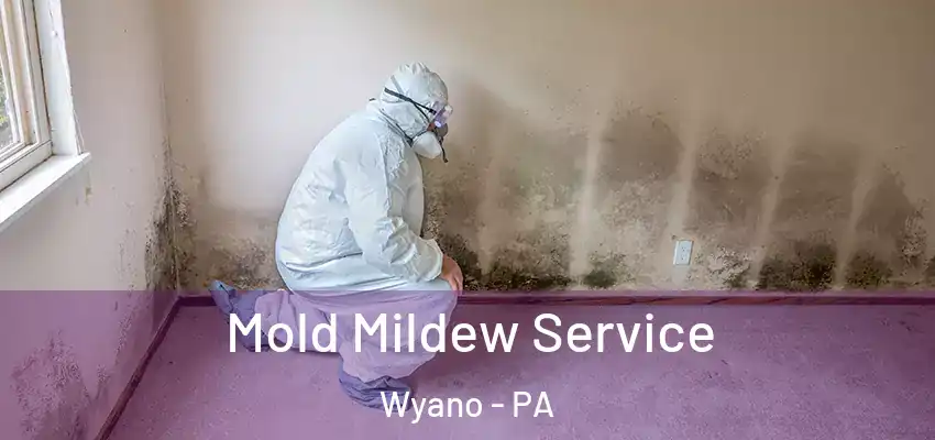  Mold Mildew Service Wyano - PA