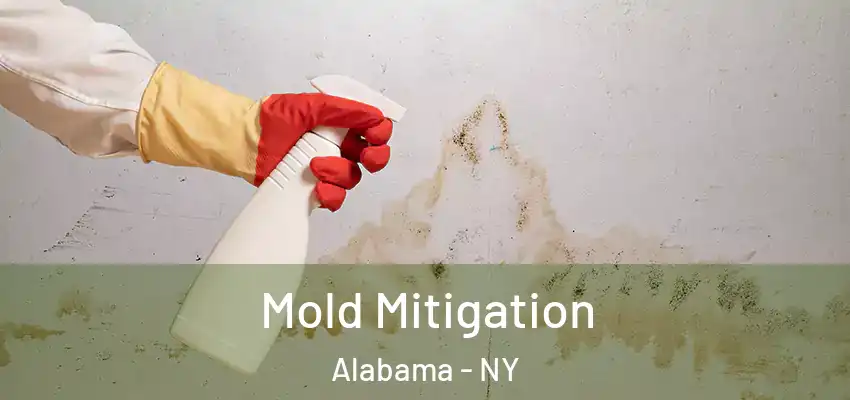  Mold Mitigation Alabama - NY