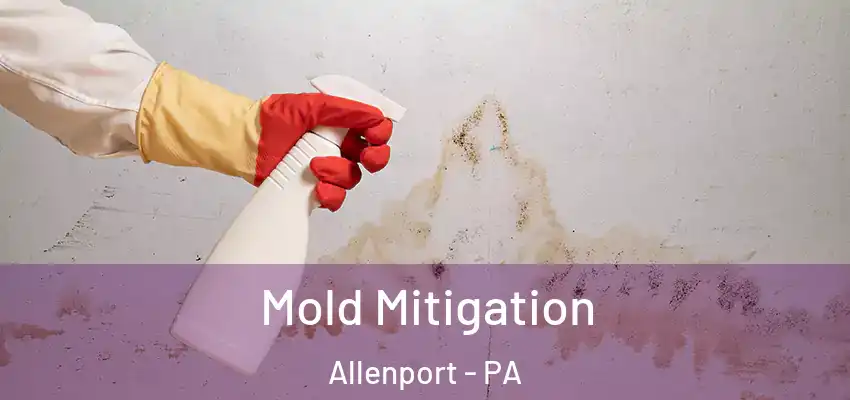  Mold Mitigation Allenport - PA