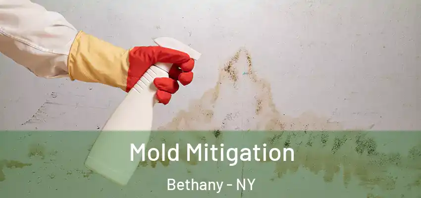  Mold Mitigation Bethany - NY