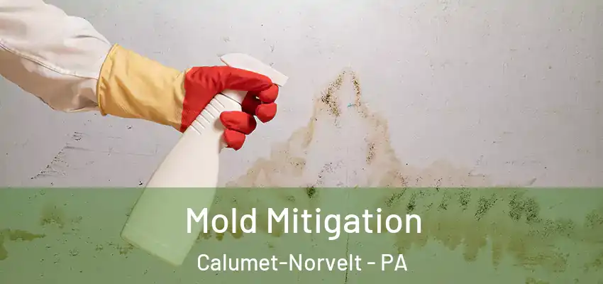Mold Mitigation Calumet-Norvelt - PA