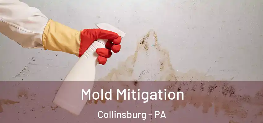  Mold Mitigation Collinsburg - PA