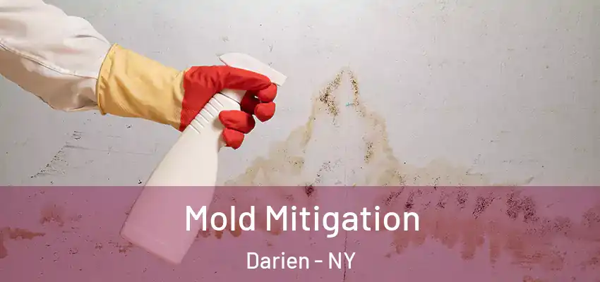  Mold Mitigation Darien - NY