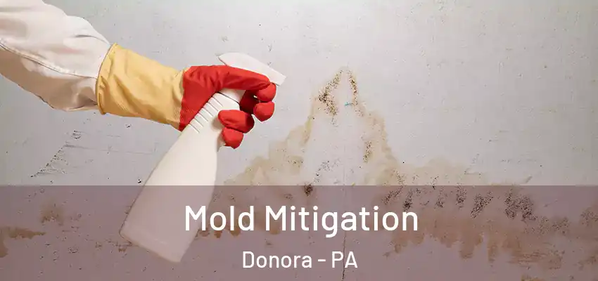  Mold Mitigation Donora - PA