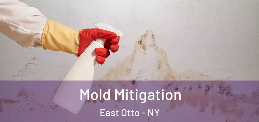  Mold Mitigation East Otto - NY