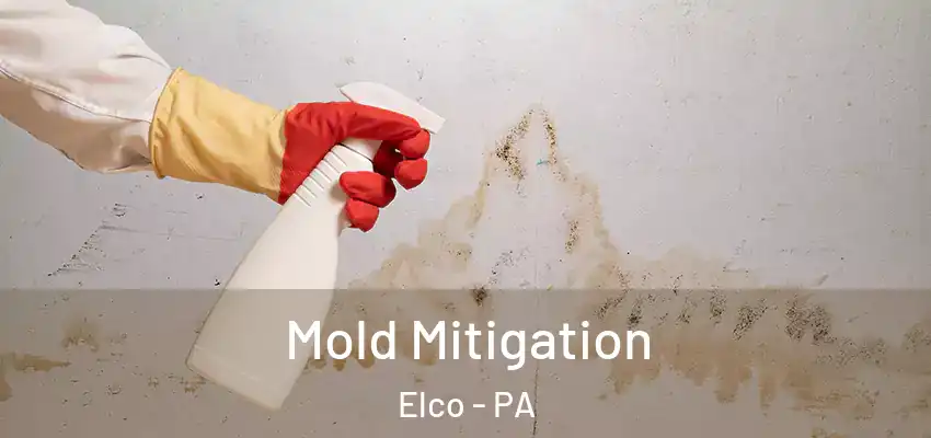  Mold Mitigation Elco - PA
