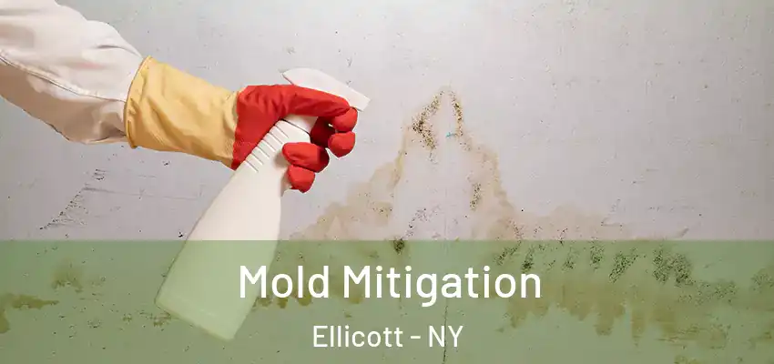 Mold Mitigation Ellicott - NY
