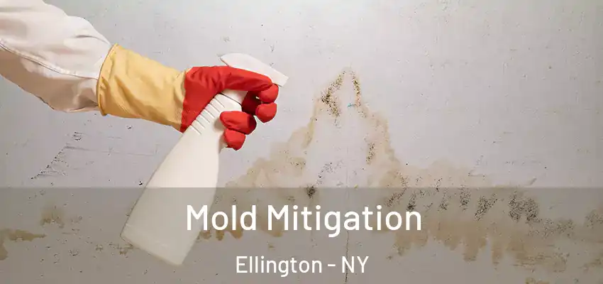 Mold Mitigation Ellington - NY
